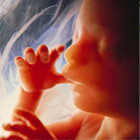 copil nenascut foetus pre born baby